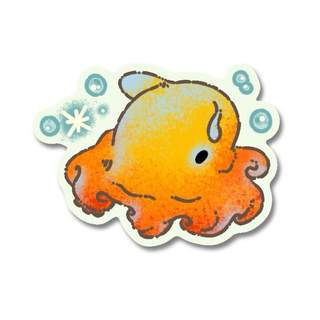 Orange dumbo octopus