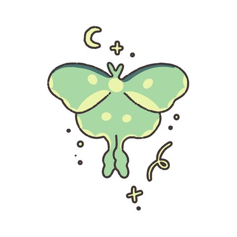Green luna moth with moon flash tattoo design by Naive Flora Tattoo Bangkok